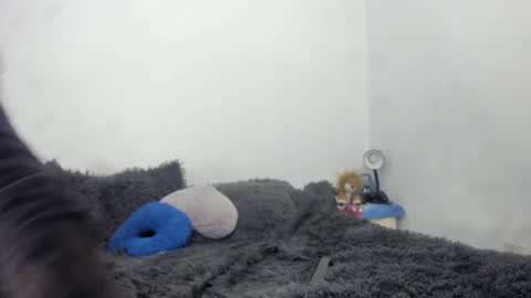 Nathaly online show from 09/15/25, 06:19