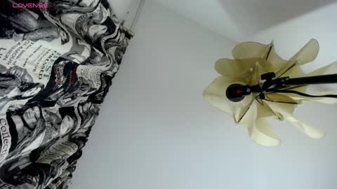 NATTA online show from 02/01/25, 08:37