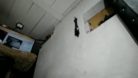 natalia online show from 06/23/26, 02:09