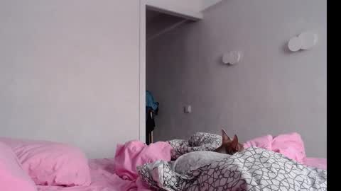 Snapshot of naughty_christie chatting on 02/04/25, 04:05 Chris Carrie online show from 02/04/25, 04:05