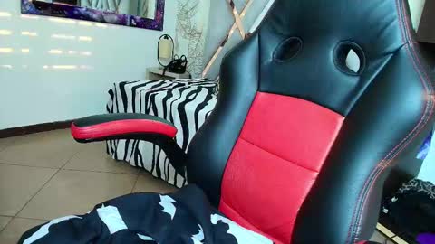 Kitten online show from 02/27/26, 11:32