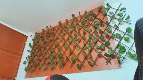 Kitten online show from 04/14/26, 11:27