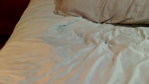 Snapshot of naughtyfucker4u269 chatting on 12/26/24, 03:10 INDY online show from 12/26/24, 03:10