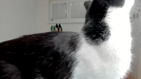 naughtysabine1 online show from 02/06/25, 09:53