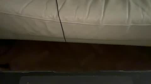 navigatingtothesky online show from 11/18/25, 11:48