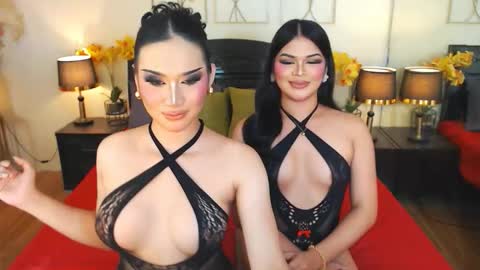 F R A N Z I A online show from 10/24/25, 07:54