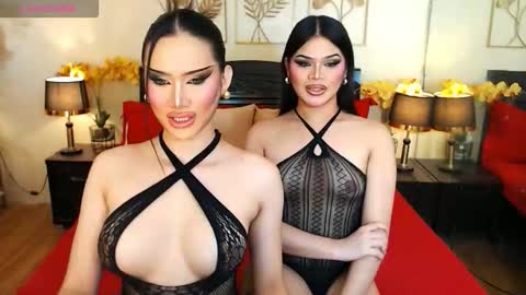 F R A N Z I A online show from 02/13/26, 08:27