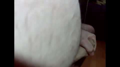 Snapshot of ncbncb chatting on 03/01/25, 08:21 ncbncb online show from 03/01/25, 08:21