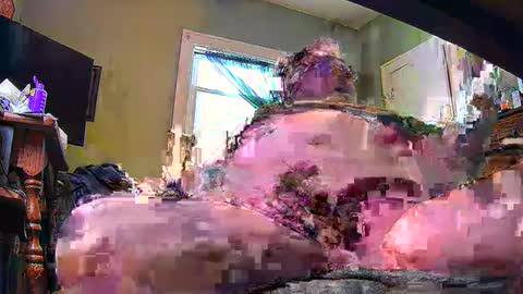 ND Cowpoke online show from 02/08/25, 09:46