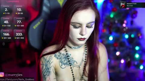 Snapshot of nelle_ chatting on 12/30/24, 01:14 online show from 12/30/24, 01:14