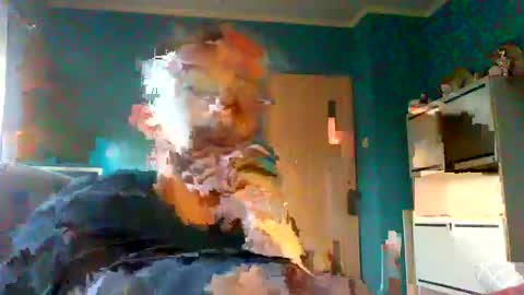 Mark online show from 02/08/25, 07:48