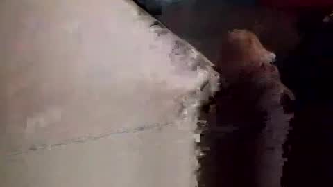 Snapshot of neverseentthatb4 chatting on 11/23/25, 09:03 Matt online show from 11/23/25, 09:03