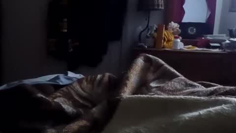 Snapshot of neverseentthatb4 chatting on 01/15/26, 10:31 Matt online show from 01/15/26, 10:31