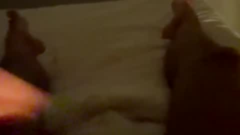 new25cam online show from 01/10/26, 03:52