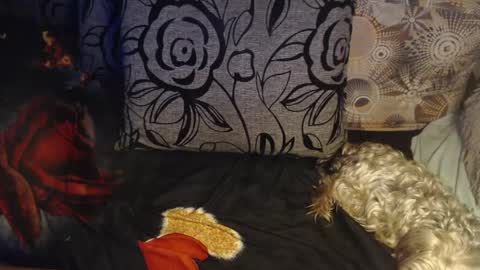 Lilly  online show from 04/06/26, 03:15