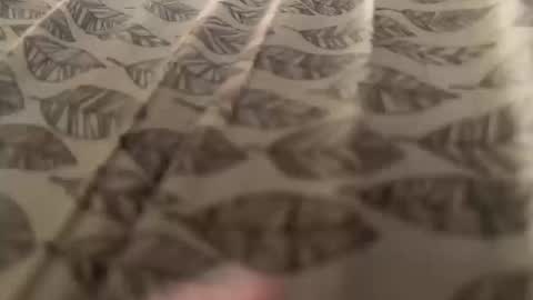 Meow Meow online show from 10/12/25, 08:57