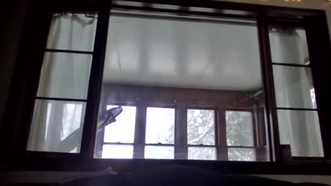 Snapshot of newguy81240 chatting on 01/23/25, 03:54 Newguy81240 online show from 01/23/25, 03:54