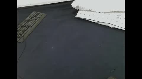 nia_0 online show from 03/16/26, 08:51