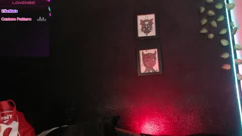  niakat  online show from 06/05/26, 06:52
