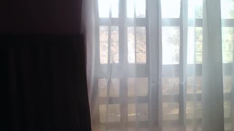 Lilly online show from 11/14/25, 10:14