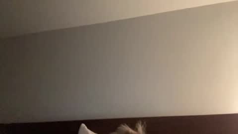 Nice Gentle Naughty online show from 12/13/24, 11:34