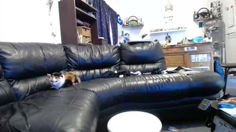 niceasscammo69 online show from 01/11/26, 07:02