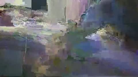 niceausbloke online show from 03/27/26, 10:04