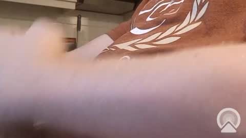 nick_x_b online show from 12/09/24, 05:19