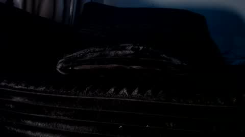 Snapshot of nickandmeg chatting on 09/21/25, 06:20 Cakedcouple OF - Yourtattedcutie qurlynfit online show from 09/21/25, 06:20