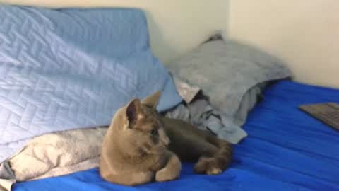 Nicolas              online show from 12/19/24, 12:34