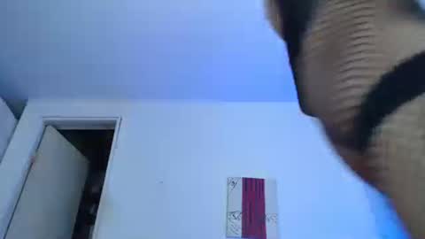 sammy hoot online show from 12/29/24, 02:17