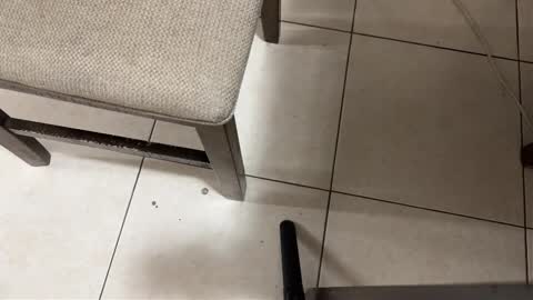 Carlos Nico online show from 03/15/26, 09:26