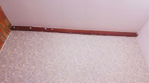 Nicol online show from 12/28/24, 07:22