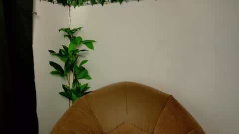 nicoleirisxxx online show from 04/15/26, 05:25