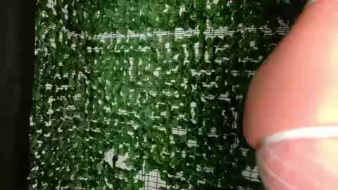 nicoleirisxxx online show from 07/03/26, 05:36
