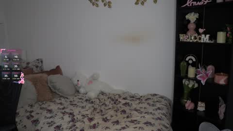 Snapshot of nicolette__shea_ chatting on 12/11/24, 06:20 nicolette__shea_ online show from 12/11/24, 06:20