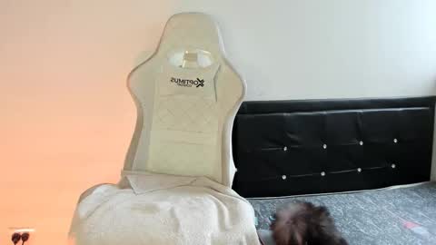 Nicol online show from 12/19/25, 07:32