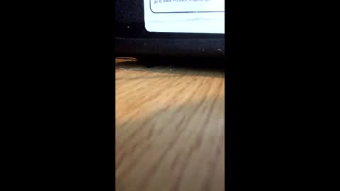 nightmoves1970 online show from 12/02/25, 01:00