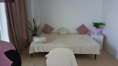 Nika light online show from 11/18/25, 11:14