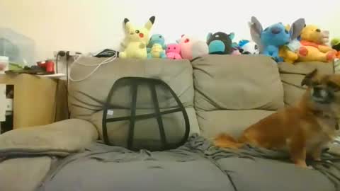 Brian and Logan Brogan online show from 01/18/25, 08:52