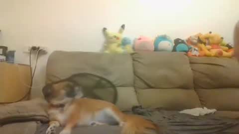 Brian and Logan Brogan online show from 11/04/25, 03:33