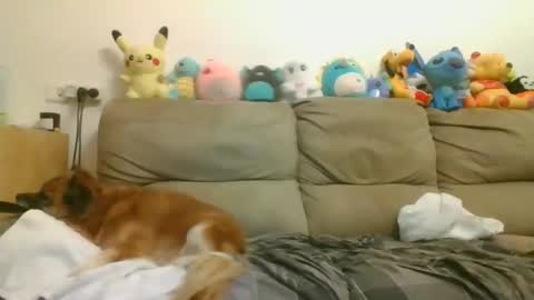 Brian and Logan Brogan online show from 04/17/26, 07:17