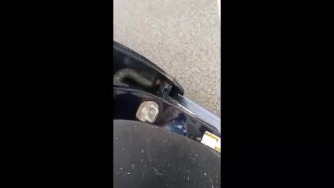 nikivega4u online show from 03/07/26, 12:24