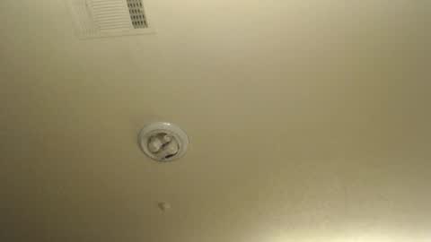 Nikki Mastersgirl1091 online show from 03/19/26, 01:15