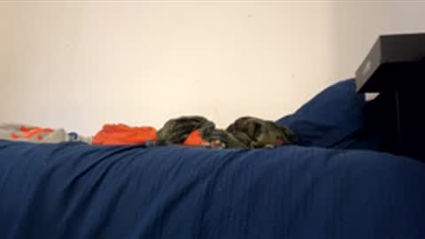 nikogigiii online show from 01/17/26, 04:28