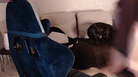 Nikolos online show from 01/29/25, 09:28