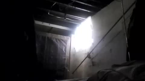 nillapuddin2 online show from 02/02/25, 02:24