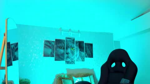 Nils online show from 02/20/26, 06:48