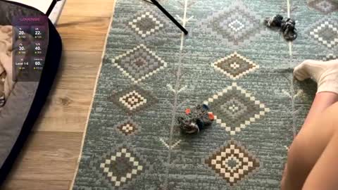 Jennet online show from 12/02/24, 07:49