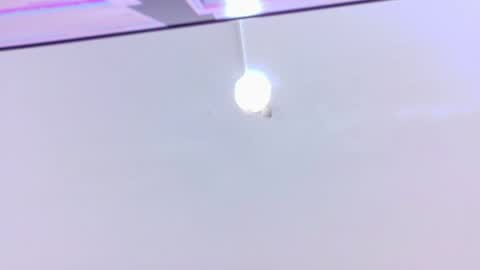 nina_bae_ online show from 04/20/26, 08:10